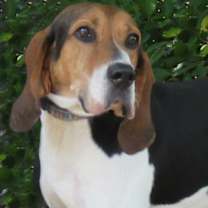 Thumbnail photo of Davis #2