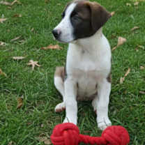 Thumbnail photo of Yana #1