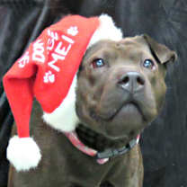 Thumbnail photo of Lucy Lu #1