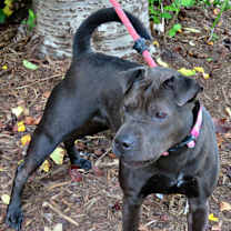 Thumbnail photo of Lucy Lu #2