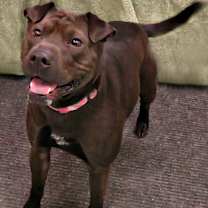 Thumbnail photo of Lucy Lu #3