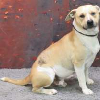 Thumbnail photo of Rees #2