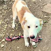 Thumbnail photo of Raspberry Jam #1