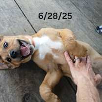 Thumbnail photo of Anastasia - Ana Banana #2