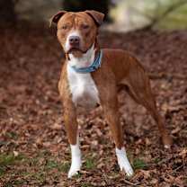 Thumbnail photo of Cash #1