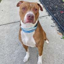 Thumbnail photo of Cash #2