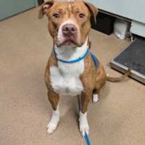 Thumbnail photo of Cash #3