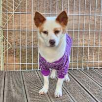 Thumbnail photo of ROSIE #2