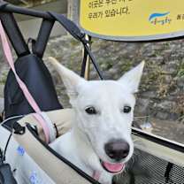 Thumbnail photo of GAEUL #3