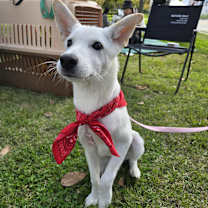 Thumbnail photo of GAEUL #1