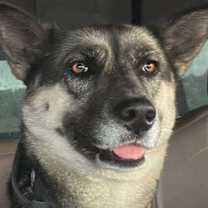 Thumbnail photo of Sunday #1