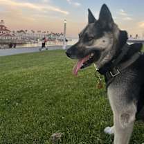 Thumbnail photo of Sunday #3