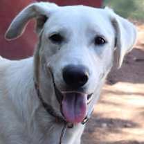 Thumbnail photo of Dancer #1