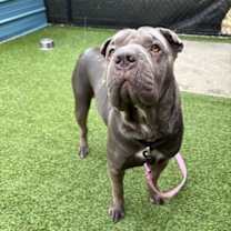 Thumbnail photo of Gwendolyn  #1