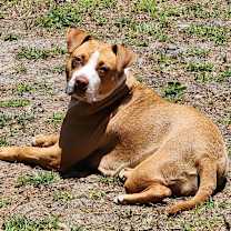 Thumbnail photo of Penelope #3