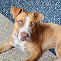 Thumbnail photo of Penelope #4