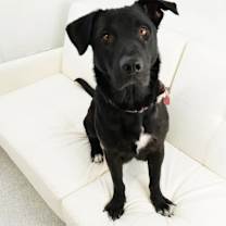 Thumbnail photo of Cora #2