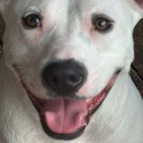 Thumbnail photo of Judge #4