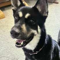 Thumbnail photo of Daisy #3