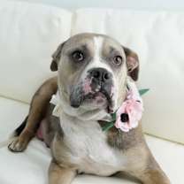 Thumbnail photo of Gucci #1