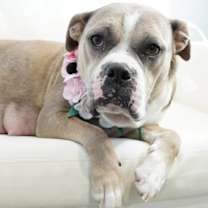 Thumbnail photo of Gucci #2