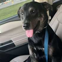 Thumbnail photo of Gunner #3