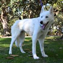 Thumbnail photo of Cloud #3