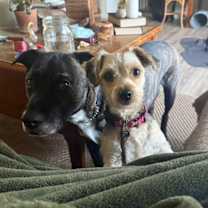 Thumbnail photo of Marge #3