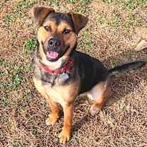 Thumbnail photo of Hazel #1