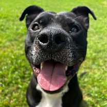 Thumbnail photo of Matteo #4