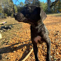 Thumbnail photo of Minnie #2