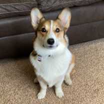 Thumbnail photo of Riley #1