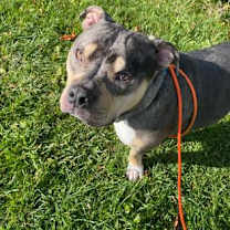 Thumbnail photo of Junior #1