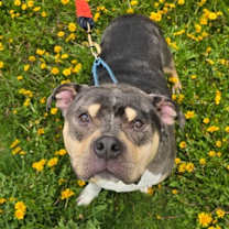 Thumbnail photo of Junior #2