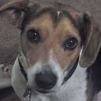 Thumbnail photo of Blue #2