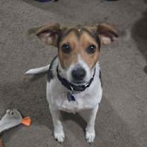 Thumbnail photo of Blue #3