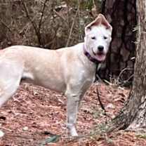 Thumbnail photo of Mikey #1