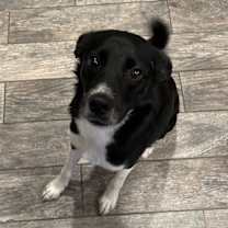 Thumbnail photo of Peeta #2