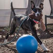 Thumbnail photo of Estell #3