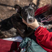 Thumbnail photo of Estell #4