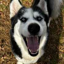 Thumbnail photo of Bingo #4