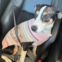 Thumbnail photo of Boots #3