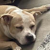 Thumbnail photo of Roxy #3