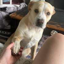 Thumbnail photo of Ginny #1