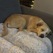 Thumbnail photo of Ginny #2