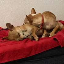 Thumbnail photo of Radar #4