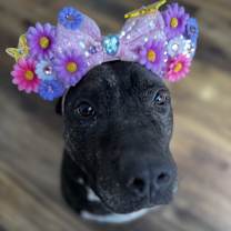 Thumbnail photo of Bethy #1