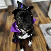 Thumbnail photo of Bethy #2