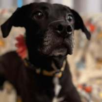 Thumbnail photo of Sunny Girl #2