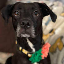 Thumbnail photo of Sunny Girl #3